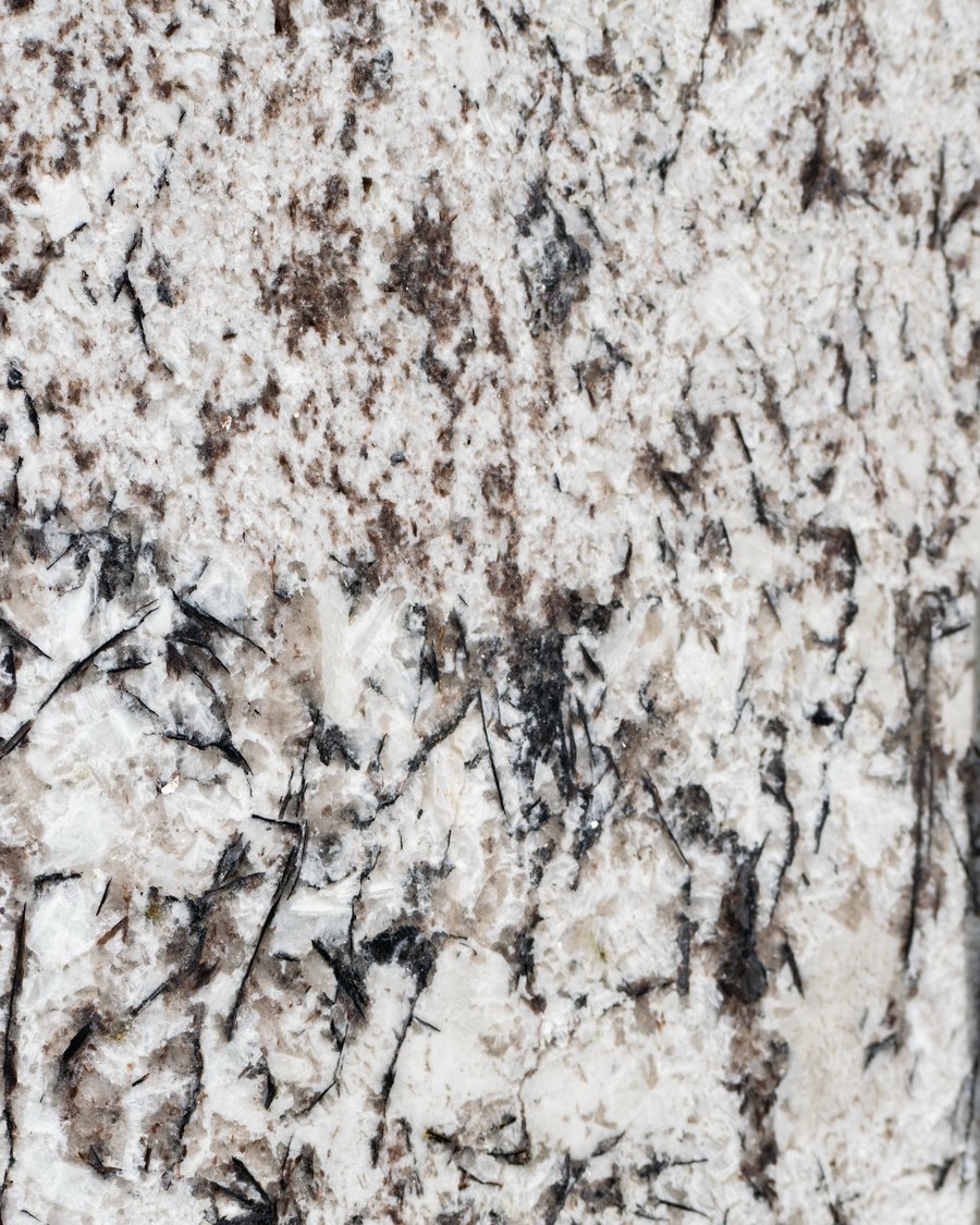 Close view of a polished granite surface, cream and white ground shot through with brown and blue-black crystalline flecks